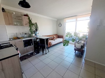 Arriendo Mensual / Departamento / Concepción