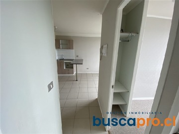 Imagen 6