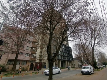 Imagen 5