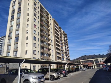 Arriendo Mensual / Departamento / Concepción
