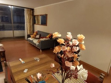 Imagen 5
