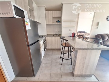 Arriendo Mensual / Departamento / Concepción