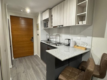 Arriendo Mensual / Departamento / Concepción