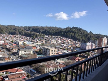 Imagen 6