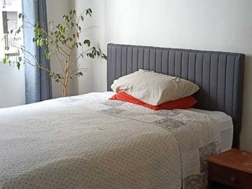 Arriendo Mensual / Departamento / Concepción