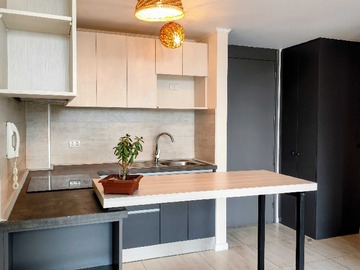 Arriendo Mensual / Departamento / Concepción