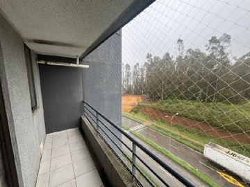 Imagen 12