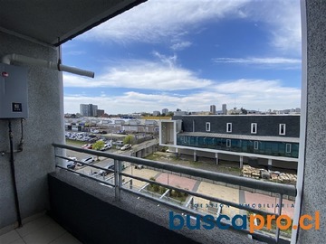 Imagen 16