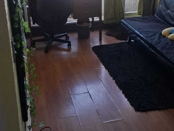 Arriendo Mensual / Departamento / Concepción