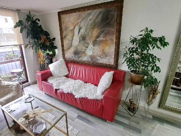 Imagen 14