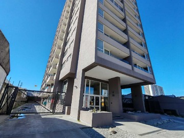 Arriendo Mensual / Departamento / Concepción