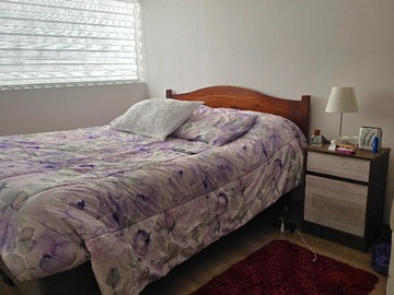 Imagen 13