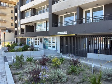 Arriendo Mensual / Departamento / Concepción