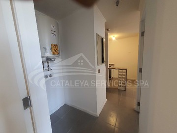 Imagen 15