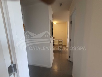 Imagen 13