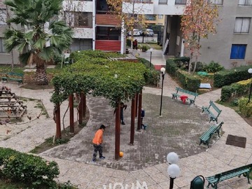 Imagen 7