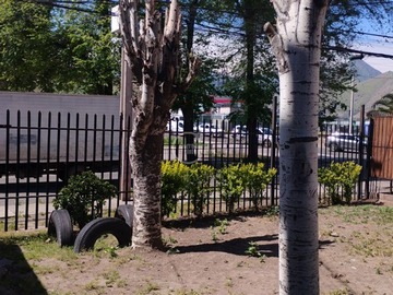 Arriendo Mensual / Departamento / Conchalí