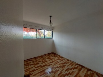 Imagen 6