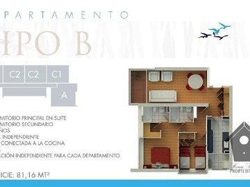 Imagen 8
