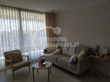 Imagen 11