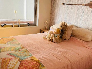 Imagen 15