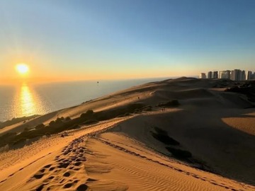 Arriendo Mensual / Departamento / Concón