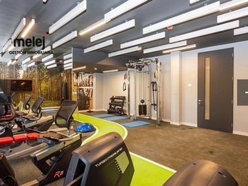 Gimnasio