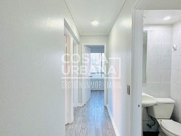 Imagen 11