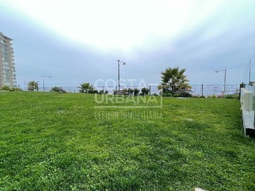 Imagen 28