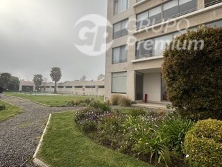 Imagen 19