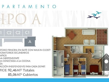 Imagen 16