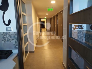 Imagen 26