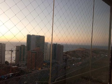 Imagen 21