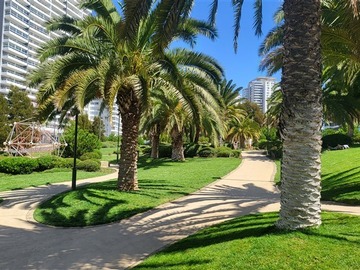 Imagen 15