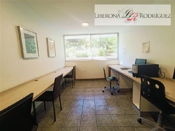 Imagen 20
