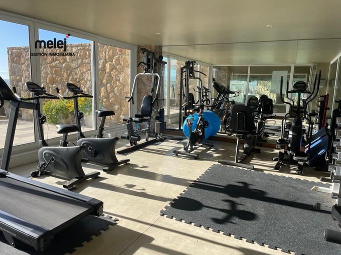 Gimnasio