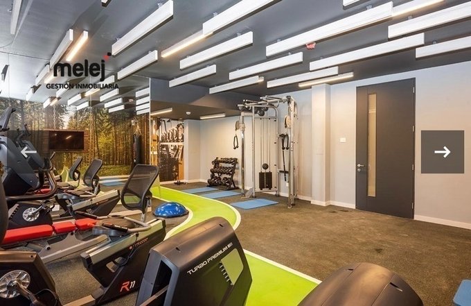 Gimnasio