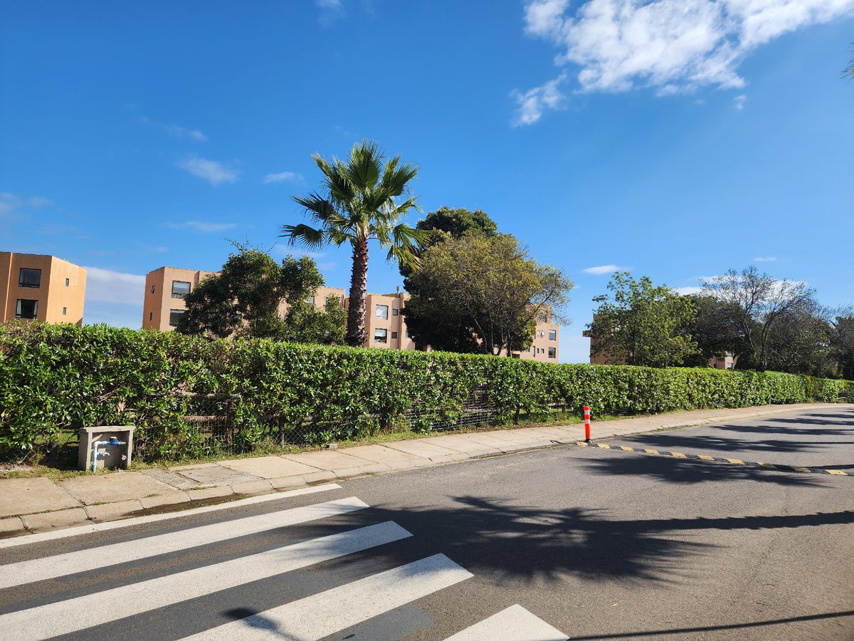 Calle de entrada al condominio.