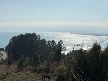 Imagen 8