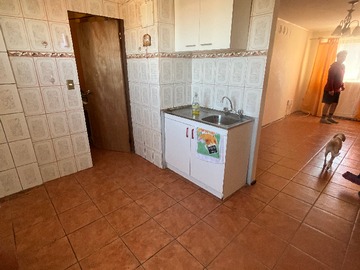 Imagen 11