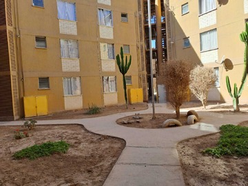 Imagen 11