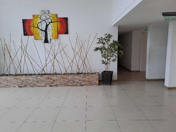 Arriendo Mensual / Departamento / Copiapó