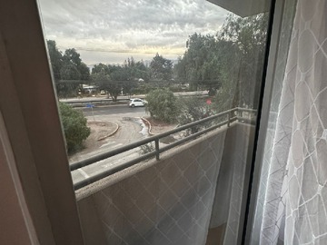 Imagen 11