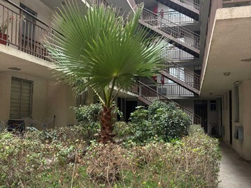 Arriendo Mensual / Departamento / Coquimbo