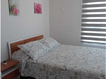 Imagen 12