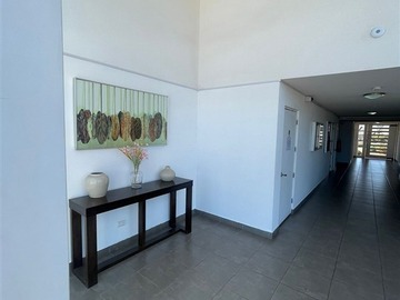 Imagen 6