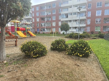 Imagen 14