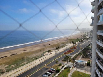 Imagen 8