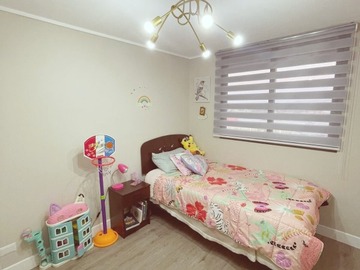 Imagen 5