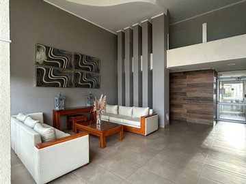 Imagen 10